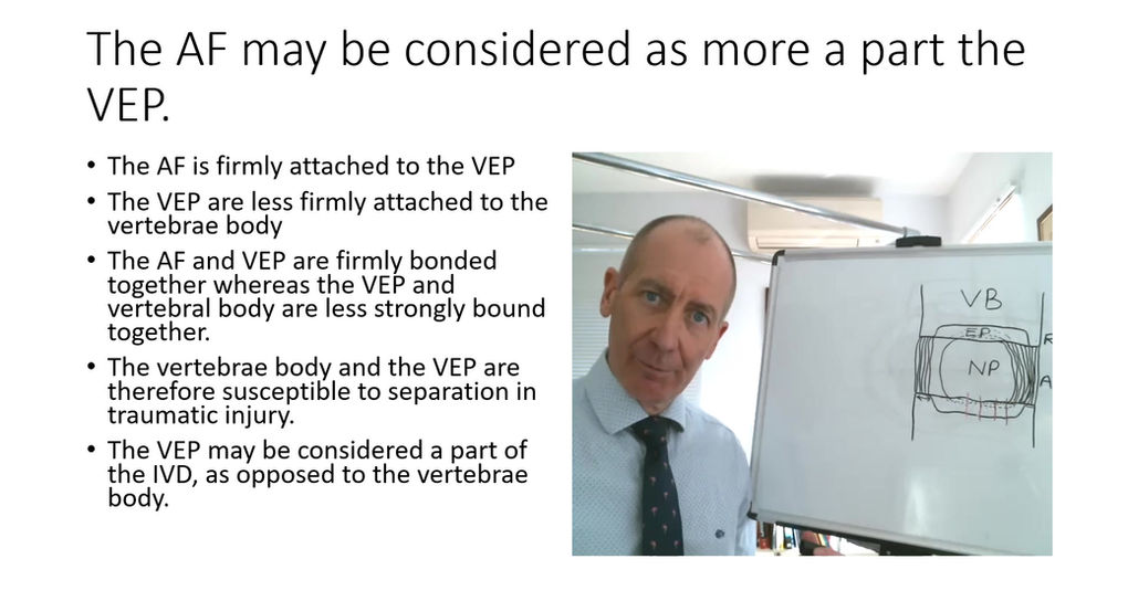 Module 3 Part 1 The Intervertebral Disc video part 1